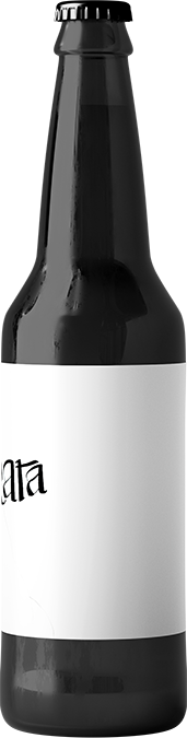 Cerveza 1