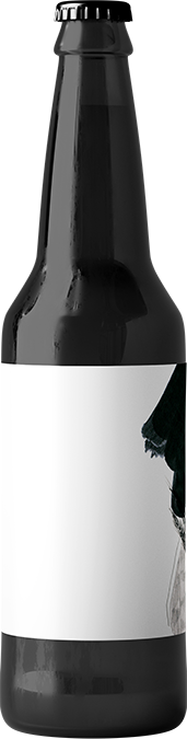 Cerveza 1