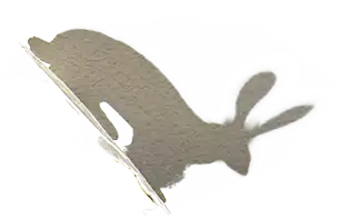 Conejo 2