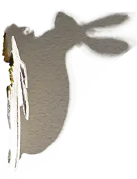 Conejo 3
